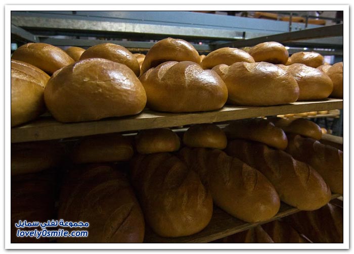 مخبز في مدينة بافلوفسكي بوساد في روسيا