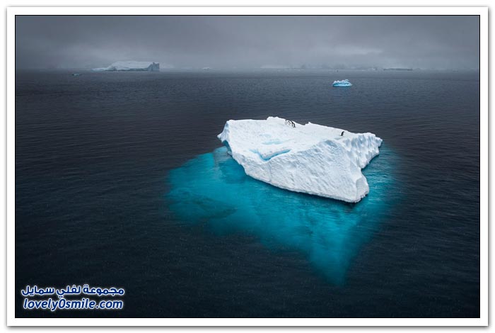 مسابقة صور ناشونال جيوغرافيك لعام 2012