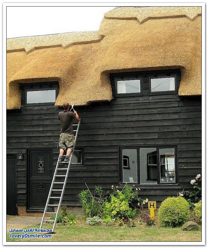 استخدام القش في أسقف المنازل الإنجليزية