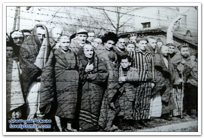 معسكر أوشفيتز أكبر معسكرات الاعتقال النازية