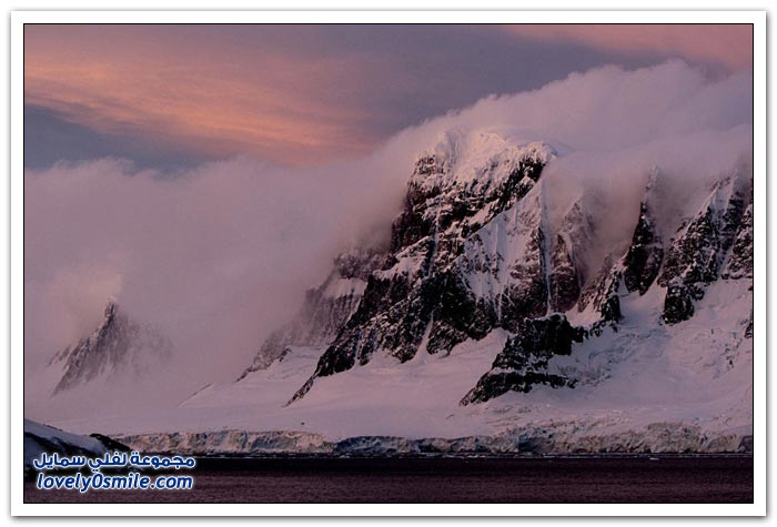 صور من القارة القطبية الجنوبية