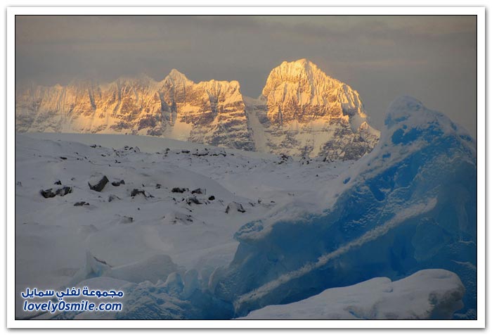 صور من القارة القطبية الجنوبية