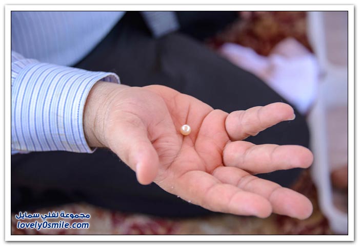 اللؤلؤ في رأس الخيمة في دولة الإمارات