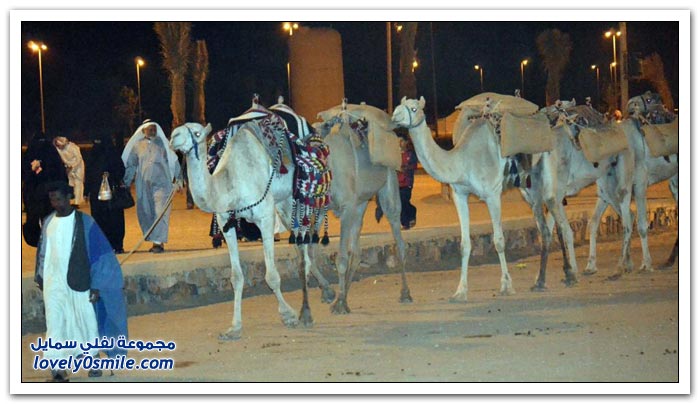 سوق عكاظ في الطائف