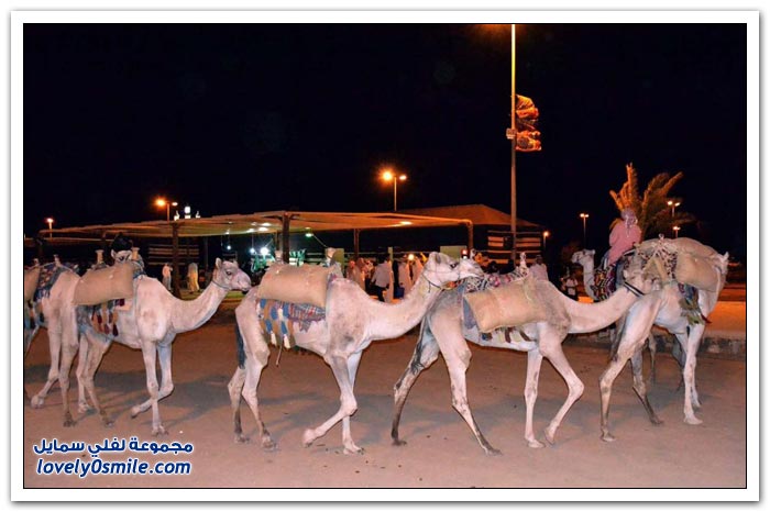 سوق عكاظ في الطائف