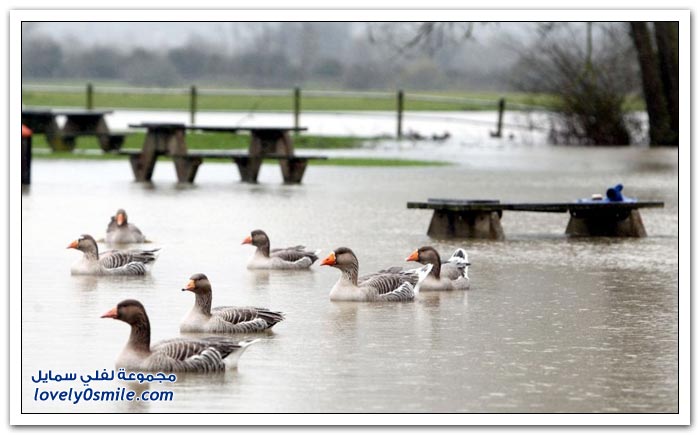 الأمطار الغزيرة والفيضانات في المملكة المتحدة