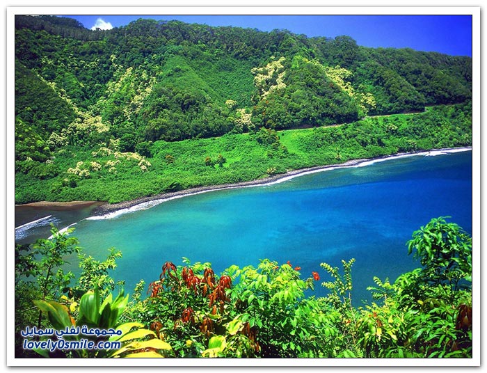 جزيرة ماوي من أجمل الجزر السياحية في العالم