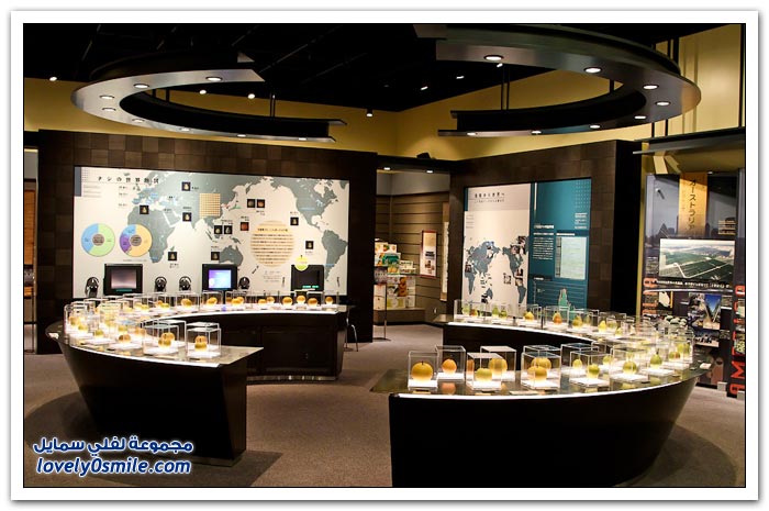 متحف الكمثرى في اليابان