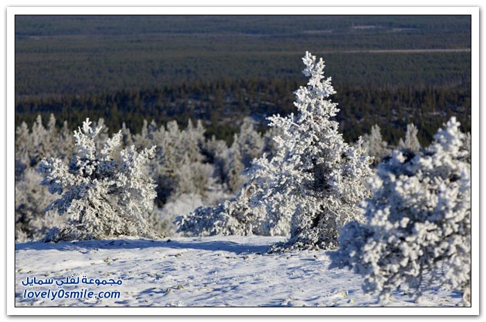 صور من شمال فنلندا