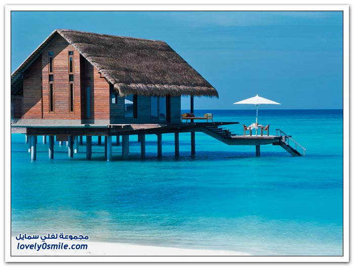 فندق ون آند أونلي ريثي راه في جزر المالديف