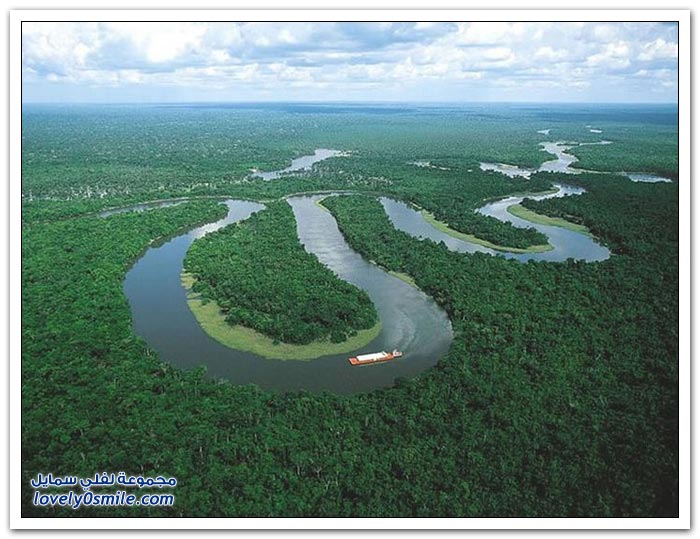 صور رائعة من أدغال غابات الأمزون