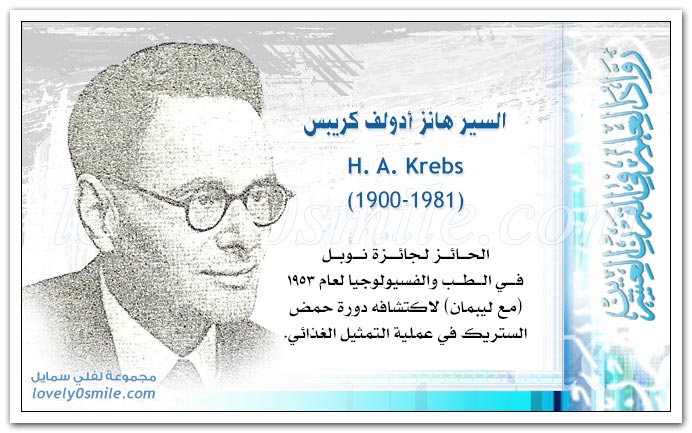 السير هانز أدولف كريبس H. A. Krebs