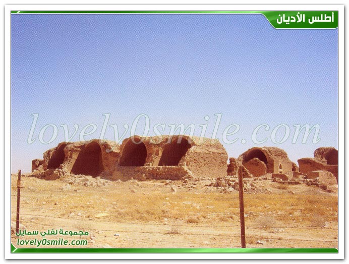 لمحة عن الإصلاحات في عهد الدولة الأموية + تدوين السنة النبوية في العصر الأموي