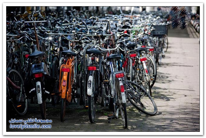 أمستردام مدينة الدراجات الهوائية في أوروبا