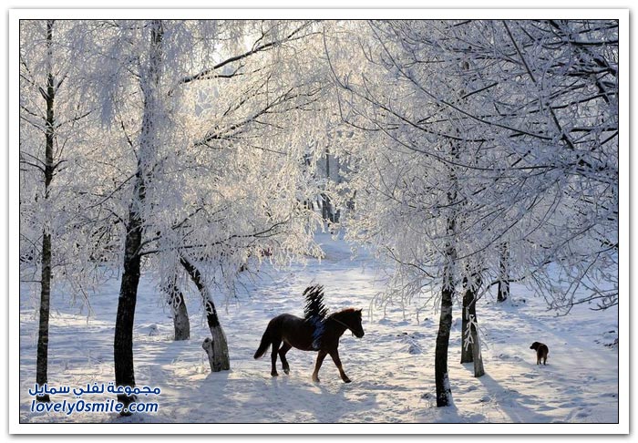 صور رائعة لجمال الشتاء