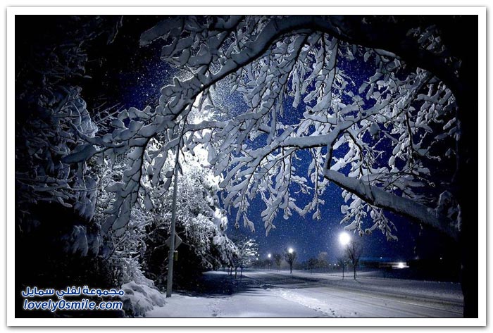 صور رائعة لجمال الشتاء