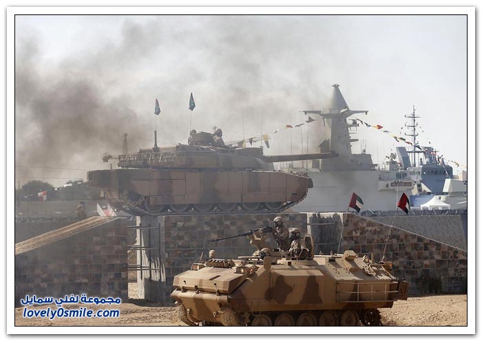 معرض الدفاع في أبوظبي 2013