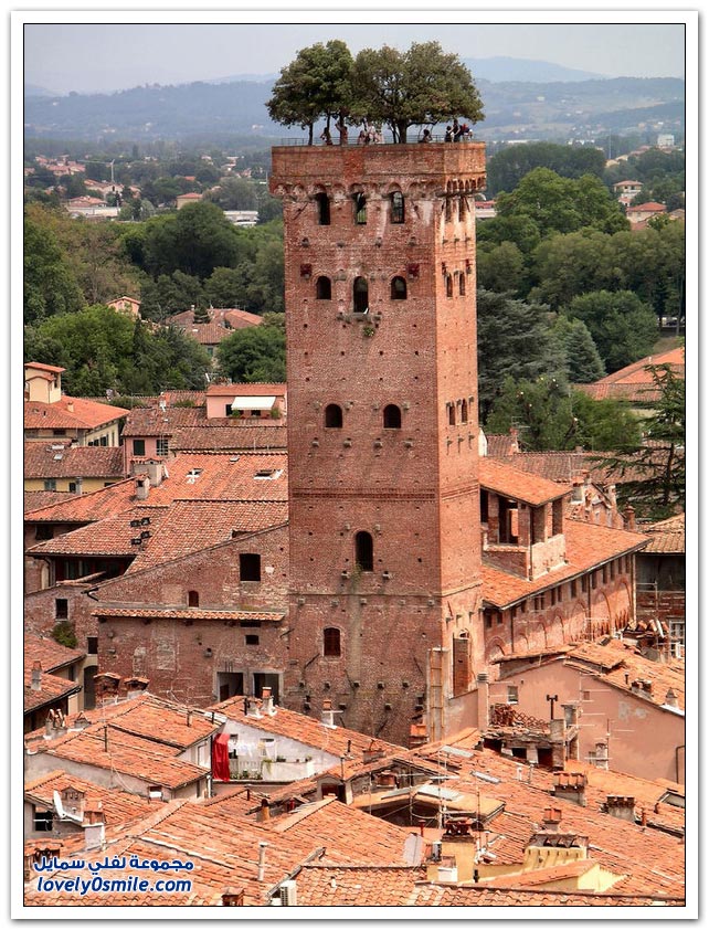 برج Guinigi في إيطاليا يتزين بحديقة أشجار البلوط أعلاه