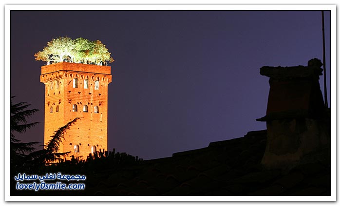 برج Guinigi في إيطاليا يتزين بحديقة أشجار البلوط أعلاه