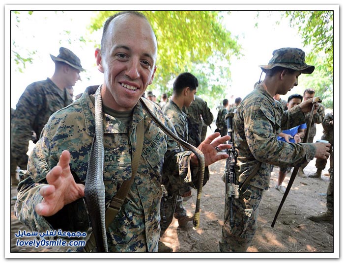 دوراة البقاء على قيد الحياة للجنود في تايلاند