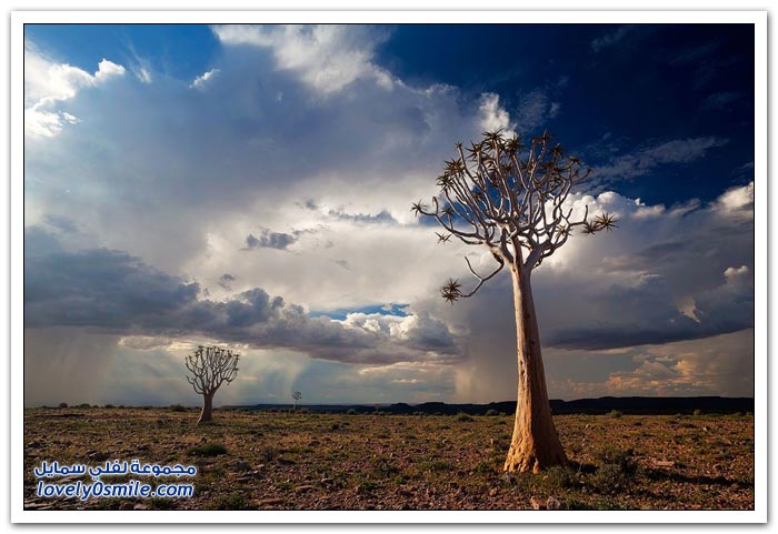 مناظر رائعة للطبيعة في ناميبيا