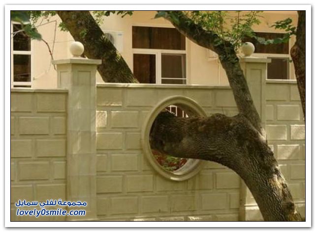 صور الحاجة أم الاختراع ج35