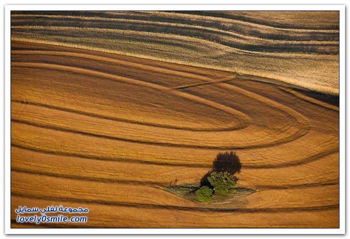أراضي زراعية مصورة من الجو بواسطة اليكس ماكلين