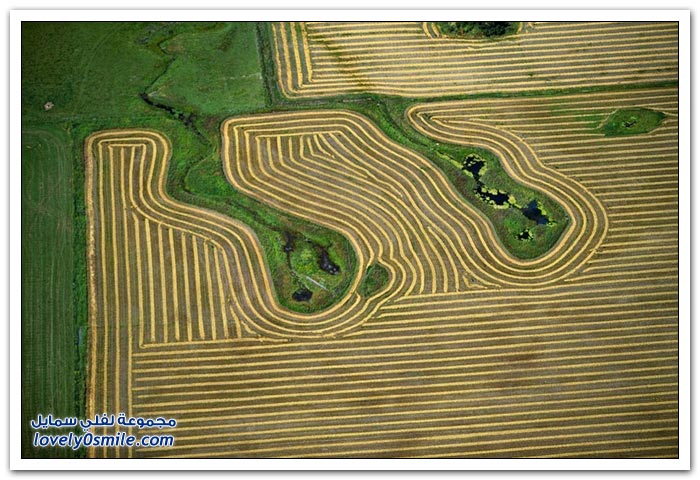 أراضي زراعية مصورة من الجو بواسطة اليكس ماكلين