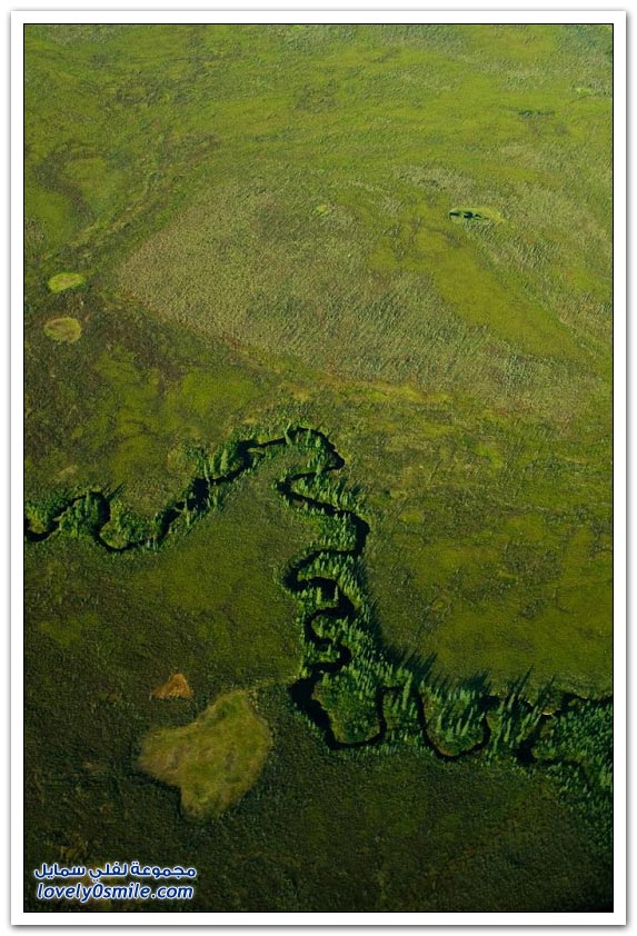 نهر ألتنا المتعرج، ألاسكا