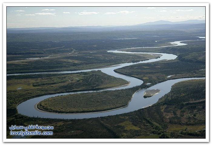 نهر ألتنا المتعرج، ألاسكا