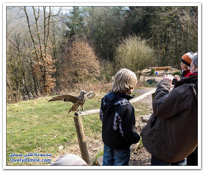 حديقة الطيور الجارحة في ألمانيا