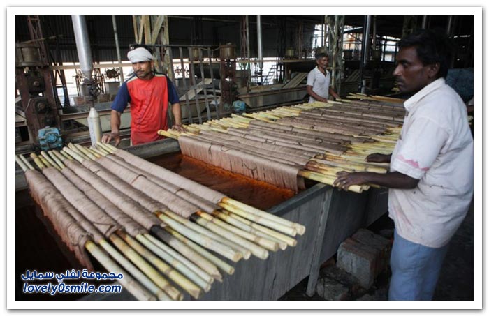 مهد صناعة السجاد اليدوي في الهند