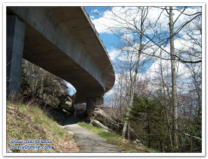 جسر Linn Cove صديق البيئة في ولاية كارولينا الشمالية