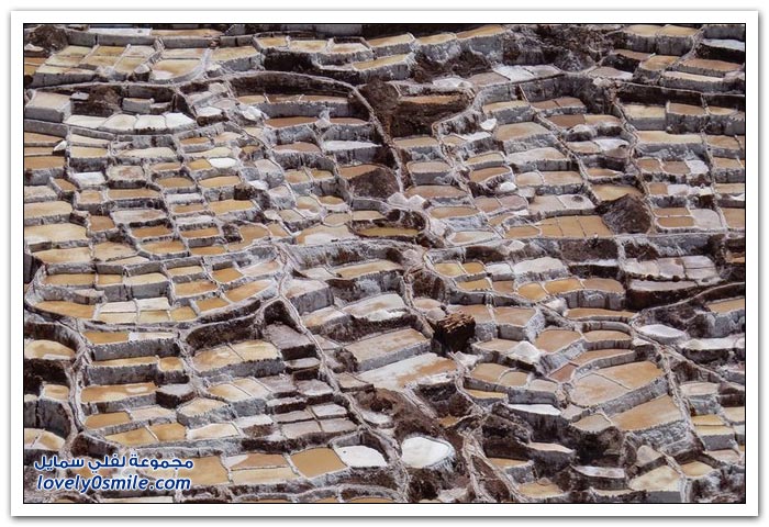 أحواض الملح ما قبل حضارة الإنكا في بلدة ماراس، بيرو