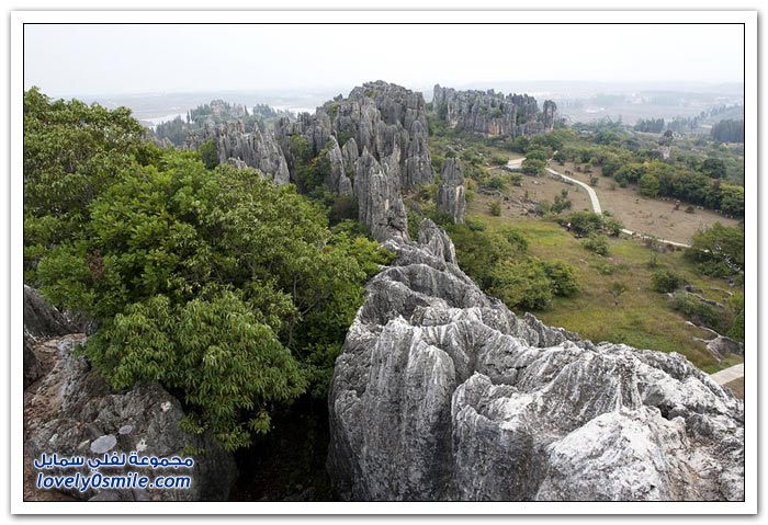 شيلين غابة الأحجار في الصين