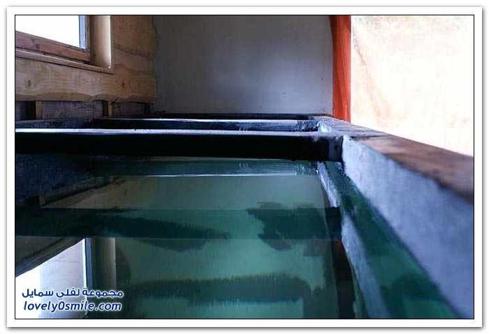 صناعة حوض سمك في المنزل