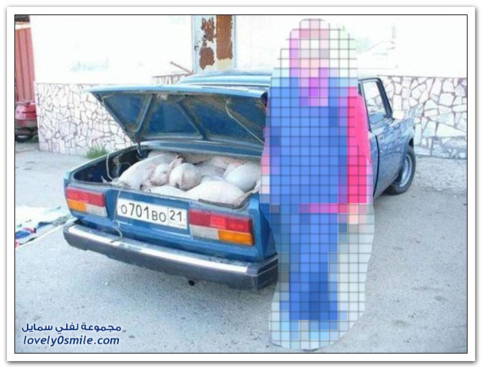 صور نادراً ما تشاهدها ج11