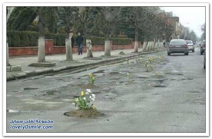 صور نادراً ما تشاهدها ج11