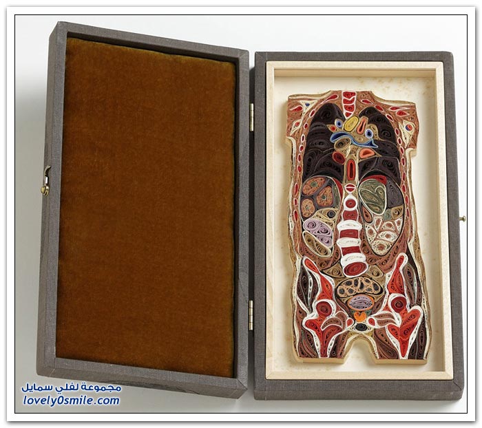 صور لأجزاء من جسم الإنسان مصنوعة من الورق