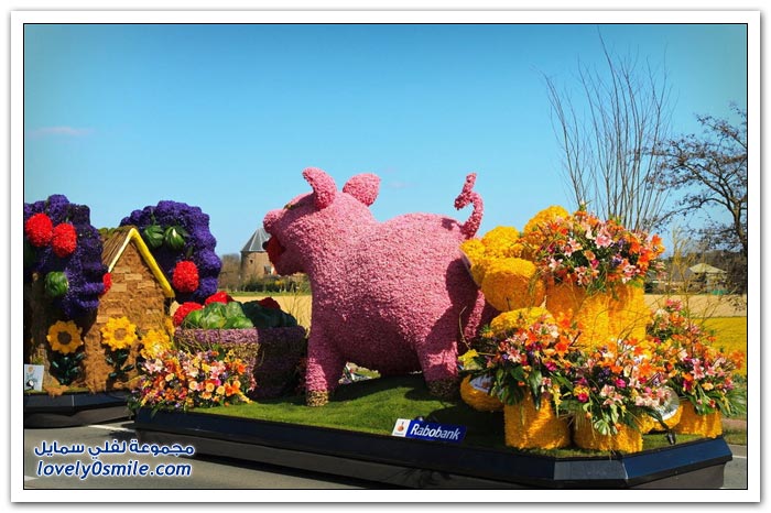 مهرجان الزهور في هولندا 2013