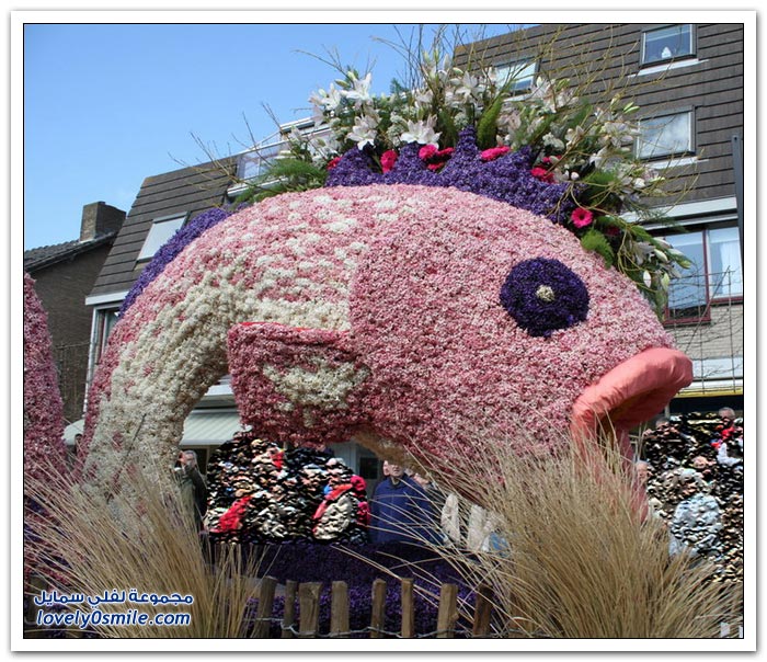 مهرجان الزهور في هولندا 2013