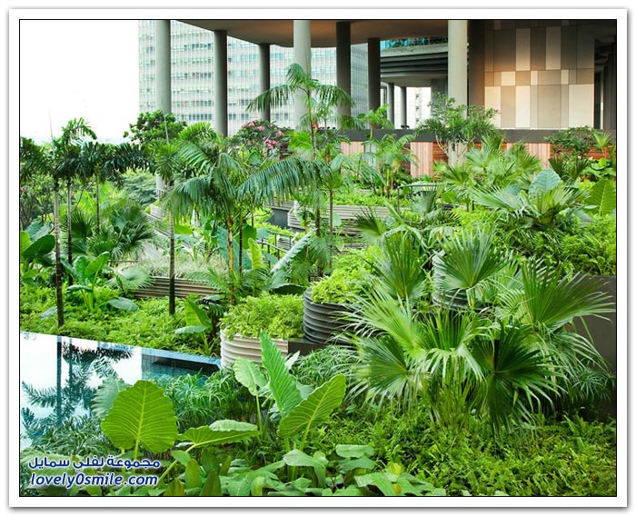 الحديقة الضخمة في فندق بارك رويال في سنغافورة
