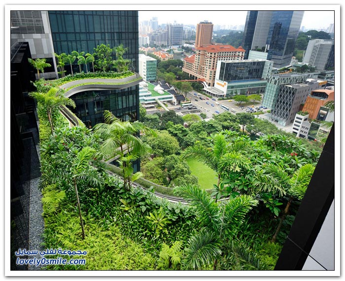 الحديقة الضخمة في فندق بارك رويال في سنغافورة