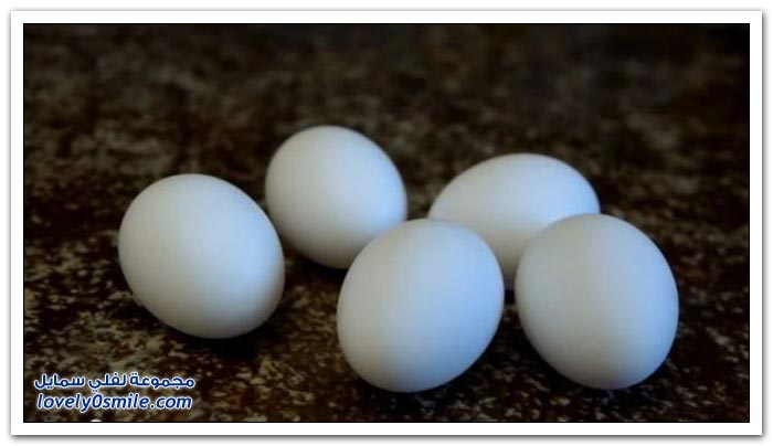 إذا رجيت البيضة قبل سلقها ماذا ينتج؟