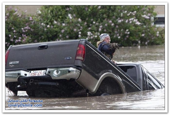 رجل وفي ينقذ قط معه أثناء الفيضانات في كندا