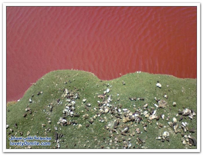 البحيرة الحمراء الغامضة في دولة تشيلي