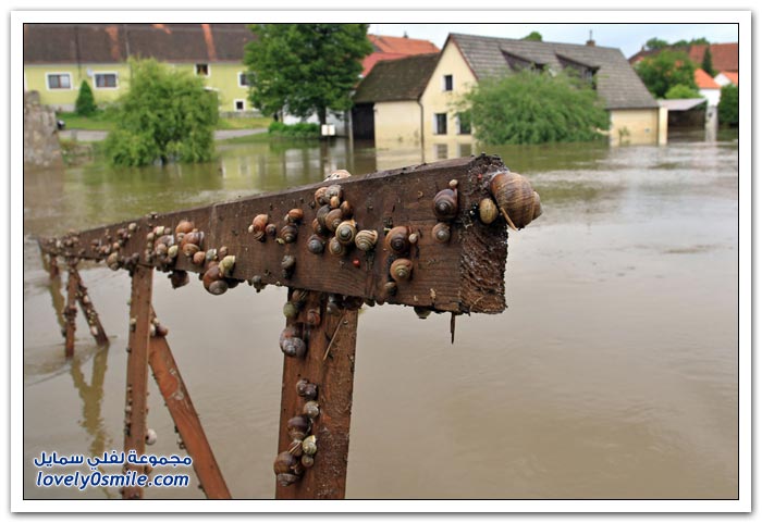 الفيضانات مع بداية الصيف في أوروبا