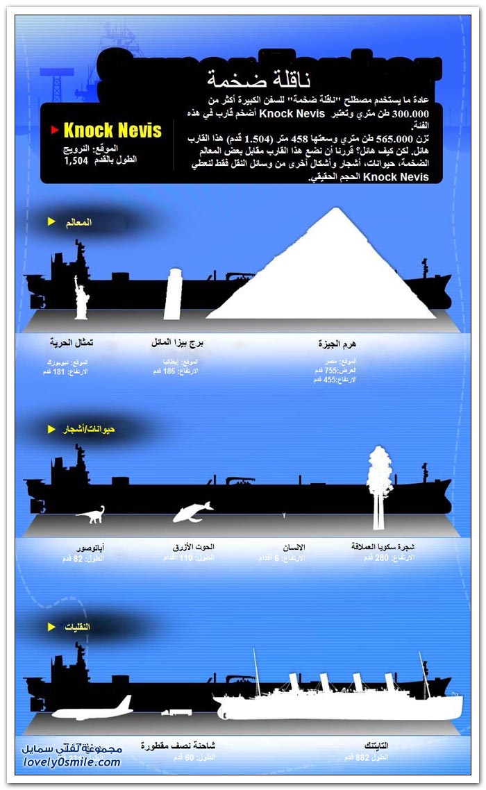 أكبر ناقلة بحرية في العالم