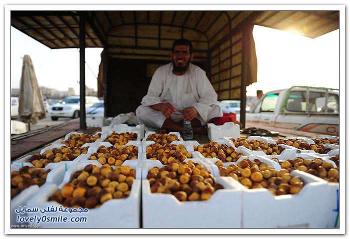 رمضان ينعش أسواق التمور