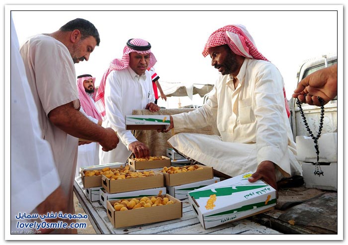 رمضان ينعش أسواق التمور